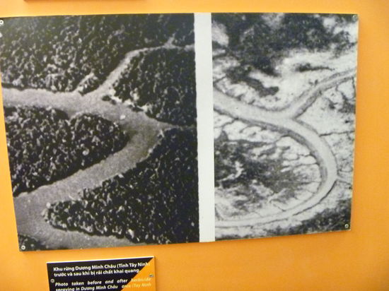 Ein Mangrovenwald vor und nach einer Kontaminierung durch Agent Orange - schrecklich