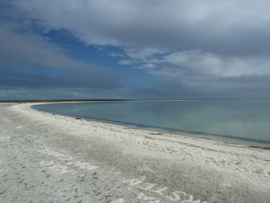 Shellbeach der gesammte Strand besteht aus Muscheln