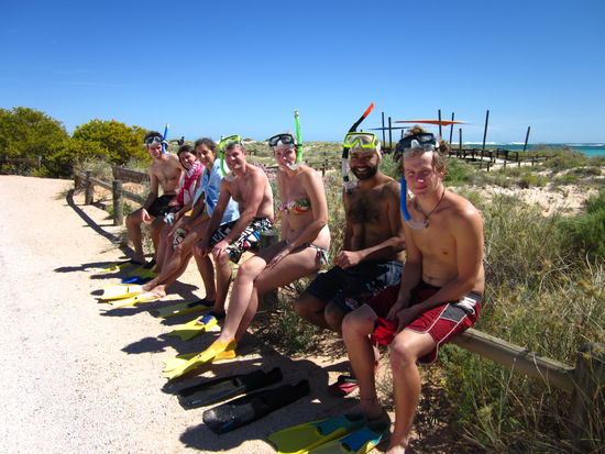 Schnorcheln in Exmouth, Ningaloo Reef