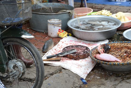 Es gibt Fisch, hm lecker....