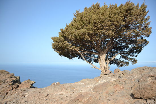 La Merica, von La Calera nach Arure