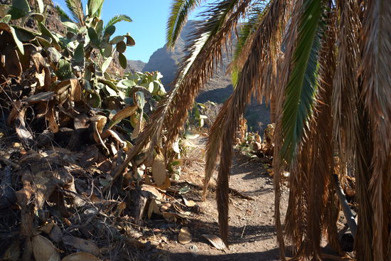 Barranco de Arure (zum Wasserfall)