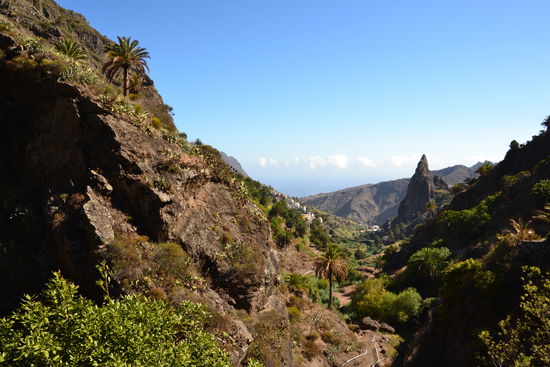auf dem Weg nach El Cedro