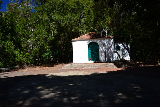 Eremita de Lourdes/ El Cedro