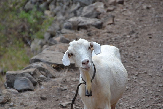 ...wer bist Du denn?