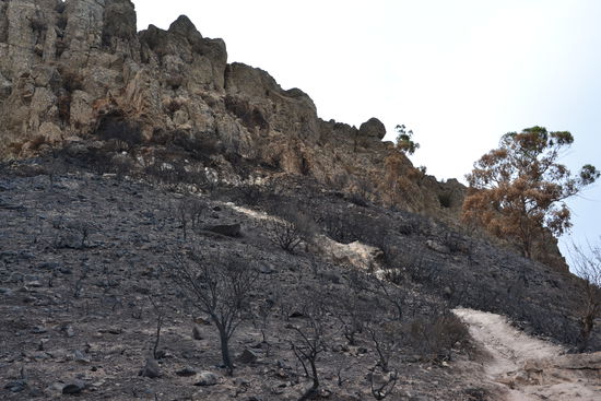 Der Weg zur Fortaleza (1243m)