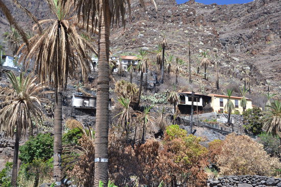 das Künstlerdorf El Guro ist auch ziemlich betroffen...