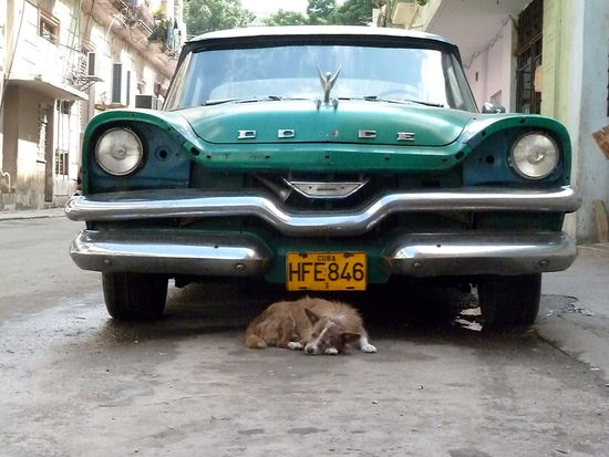 es gibt viele Odtimer, hier einer davon