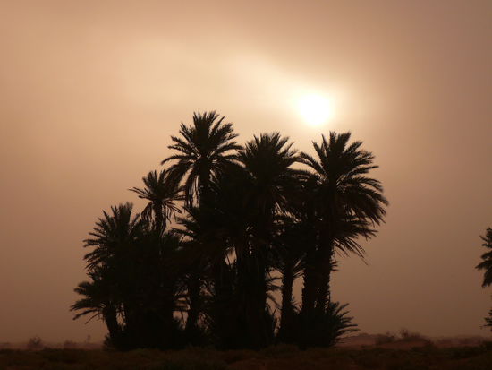 Sonnenuntergang im Sandsturm