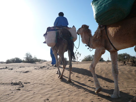 Unterwegs in der Wüste