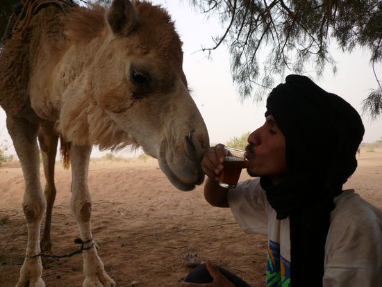 Ich mag auch ein bisschen Tee!