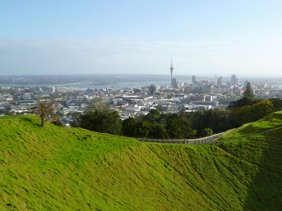Wunderschöne Aussicht auf Auckland vom "Mount Eden"