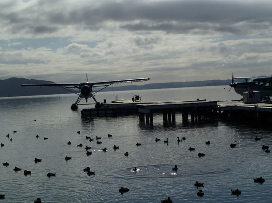 "Lake Rotorua"