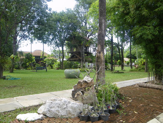 Auf der Insel - einfach nur schön!