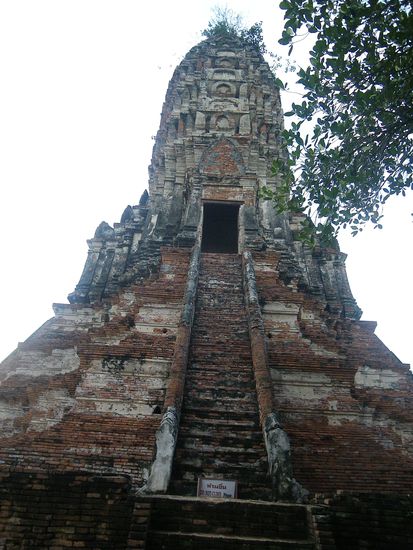 Da haben echt nur noch die Affen gefehlt