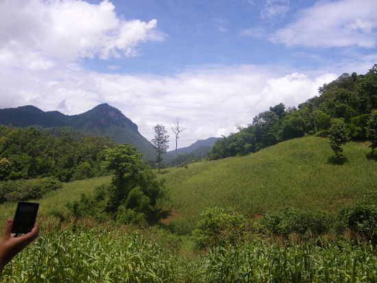 Zu Beginn durch graslandschaft