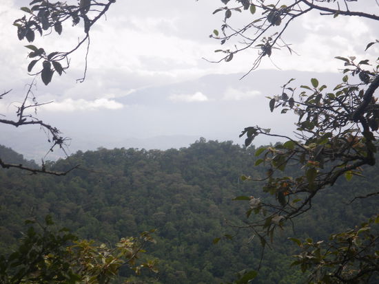 Am höchsten Punkt spektakuläre Aussicht auf das Tiefland