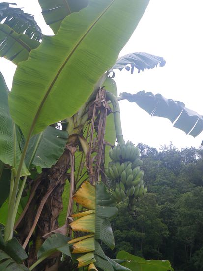 Kleine Wegzerrung am Straßenrand?
