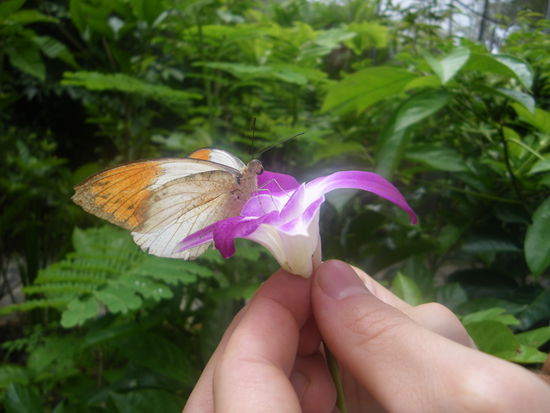 unser neues Haustier