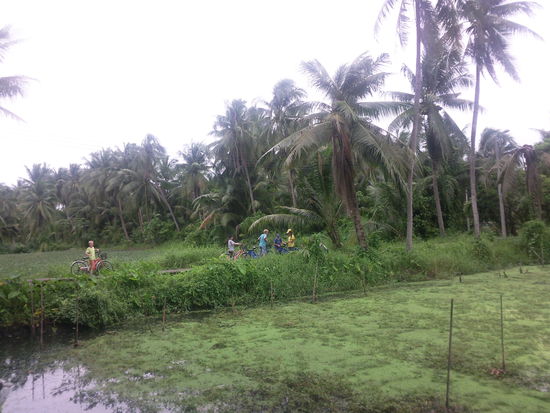 Radelnd durch grüne Oasen inmitten der Millionenmetropole (ca. 200m von diesem Bild entfernt befindet sich eine riesige Hauptstrasse Bangkoks)