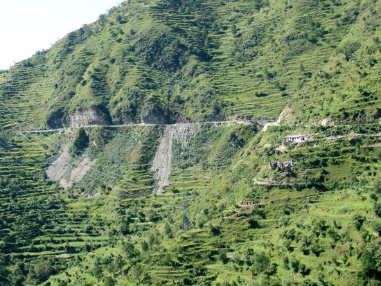 Straße nach Gangotri