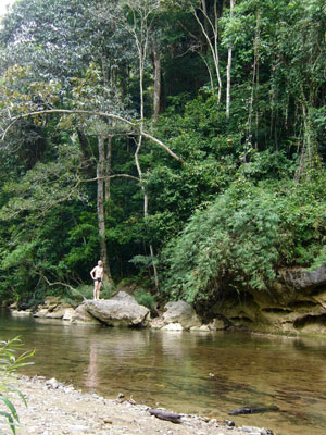Tarzan...
