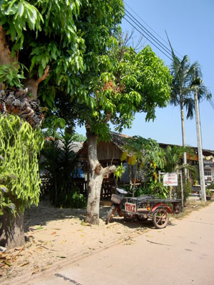 Mopedtaxi
