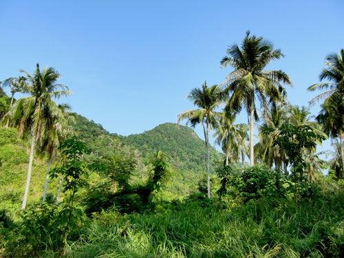 Pu Mountain