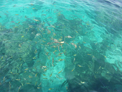 das Wasser brodelte regelrecht