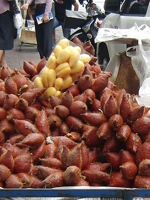 die uns unbekannten, aber ausgezeichnet schmeckenden Früchte