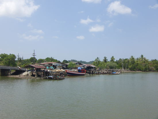 Fischerboote an der Mangrovenküste