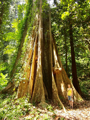 Big Tree und Little Dagmar