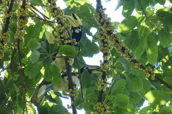 zwei auf einen Streich