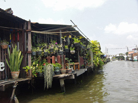 The Artist's House