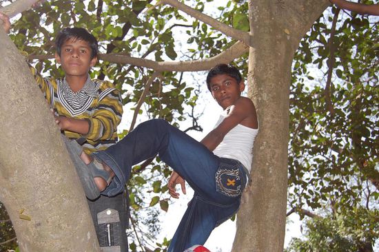 HELGO; Hosteljungs im Botanischen Garten