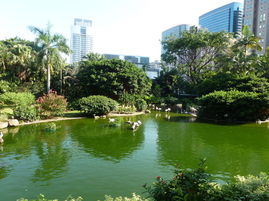 Im "Kowloon Park"