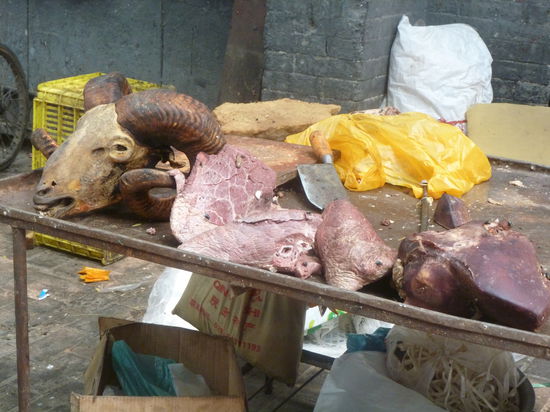 Nachmittags wird alles vorbereitet...