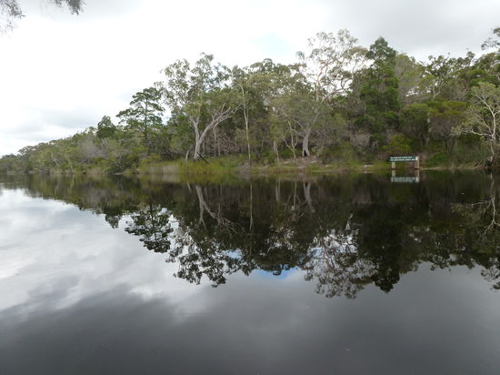 Die Bäume spiegeln sich auf dem schwarzen Wasser