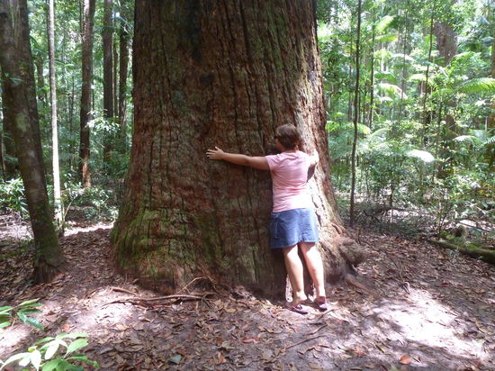 Nicht ganz meine Größe=)