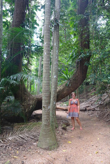 Im Botanischen Garten