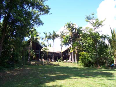 Das Tree House, mein Hostel mitten im Regenwald.