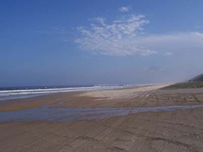 Der Highway auf Fraser Island
