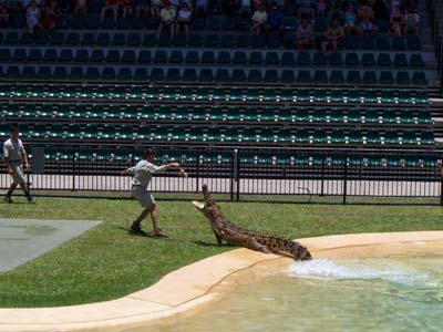 Australia Zoo