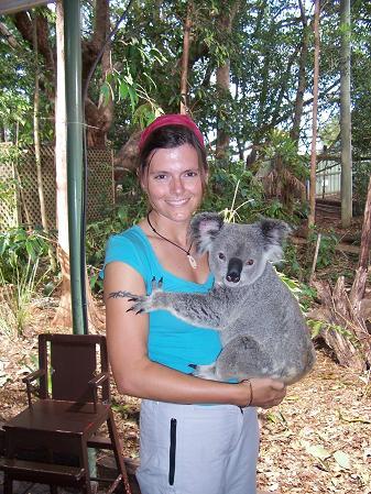 Ist er nicht suess??? So ein Koala kann ganz schoen schwer sein (etwa 8 kg).