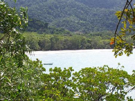 Cape Tribulation