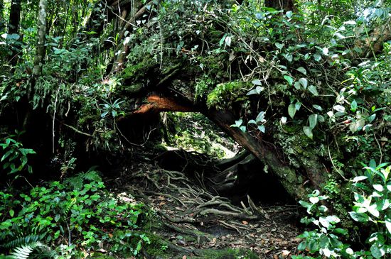 da ging der Weg durch