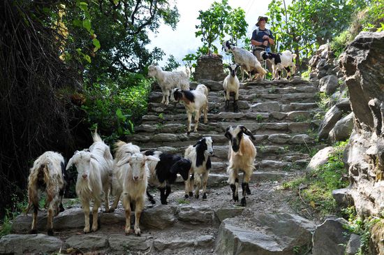 ...mit Gegenverkehr...