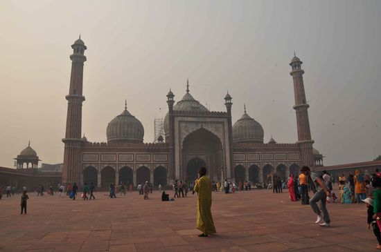 mosche, namen hab ich vergessen x)