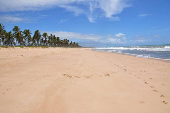 auf dem Weg nach Praia do Forte