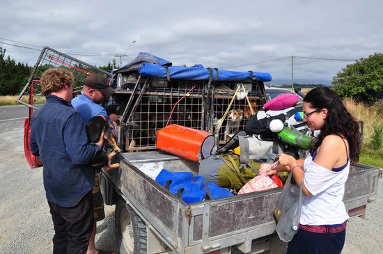 unser Ride nach Dunedin